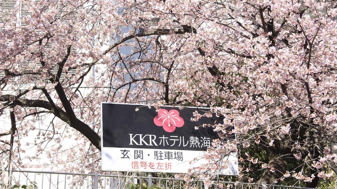 春の食味プラン　金目鯛と桜鯛